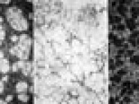 Semisolid processing of high melting point alloys